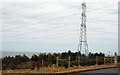 D4201 : Pylon and power lines, Ballylumford, Islandmagee (1) by Albert Bridge