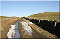 A farm track at Windydoors