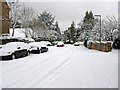 A snow-covered Albury Road