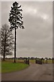 Melbury Park: Gate into Deer Park