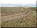 Track to the sewage works