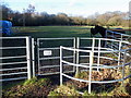 Kissing gate, Stoborough Green