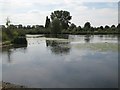 Lake in Sutcliffe Park (2)