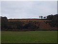 SY1291 : Sidbury Castle by Anthony Vosper