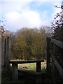 TM3763 : Footpath stile of the footpath to Brook Farm Road & Sandy Lane by Geographer