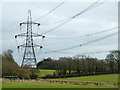 Pylons near Baker