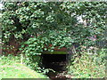 The Quaggy River, Sundridge Park Golf Course