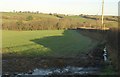 Field east of Filleigh Barton