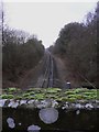 Railway line south of Upper Froyle