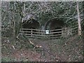 Lime Kilns in Carmel National Nature Reserve