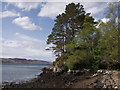 Newtown on Loch Ewe