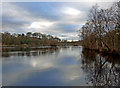 Watery stillness of winter