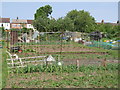 Beck Lane Allotments