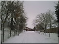 A snowy Station Approach, Welling