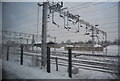 Overhead cables over the line near Bletchley