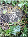 Benchmark on gatepost at entrance to Shotover House lodge