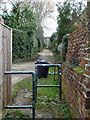 Footpath towards Icehouse Wood