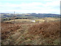 Duckpool Farm, Monmouthshire