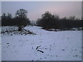 View across Cobham Park from Darnley Mausoleum