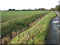 Ditch beside unnamed lane from Winfarthing Road to Heath Road, Banham