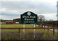 Alpaca farm, near Paddockhill, Cheshire