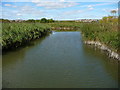 Weymouth - Radipole Lake