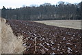 Freshly Ploughed