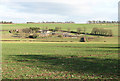 Lark Hall and Chilly Hill