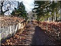 Footpath behind Leazes Park