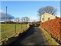 Todmanshaw Lane, near Cow Bridge