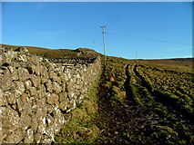 NG4064 : Dry stane dyke by Dave Fergusson