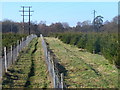 Footpath at Mousehill Down