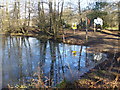 Pond on Royal Common