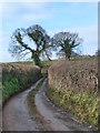 Lane to Cwm Dowlais