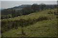 View to Leckhampton Hill