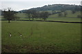 View to Leckhampton Hill