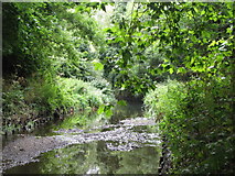 TQ3774 : The River Ravensbourne in Ladywell Fields by Mike Quinn