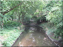 TQ3774 : The River Ravensbourne in Ladywell Fields (5) by Mike Quinn
