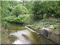 The River Ravensbourne in Ladywell Fields (9)