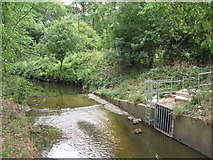 TQ3774 : The River Ravensbourne in Ladywell Fields (9) by Mike Quinn