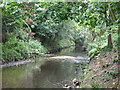 The River Ravensbourne in Ladywell Fields (11)