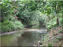 TQ3774 : The River Ravensbourne in Ladywell Fields (11) by Mike Quinn