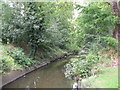 The River Ravensbourne in Ladywell Fields (13)