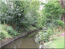 TQ3774 : The River Ravensbourne in Ladywell Fields (13) by Mike Quinn