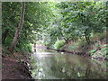 The River Ravensbourne in Ladywell Fields (18)