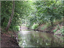 TQ3774 : The River Ravensbourne in Ladywell Fields (18) by Mike Quinn