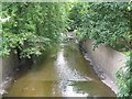 The River Ravensbourne at the southern end of Ladywell Fields (4)