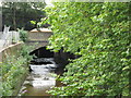 The River Ravensbourne by Adenmore Road, SE6 (4)