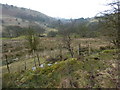 Fence and stile, near Fough