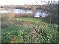 View across Bedfont Lakes Country Park